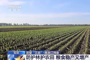 稳了？拜仁主场对阵美因茨6连胜&打进29球